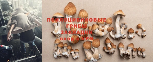 прущий лед Кукмор